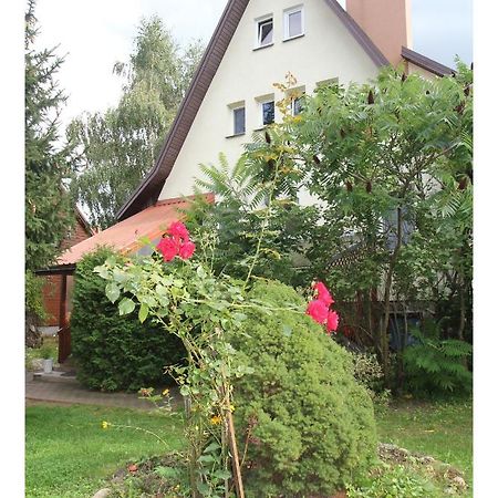 Supraśl Apartament Lesny מראה חיצוני תמונה